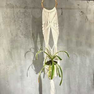 Vaso de Macramé Longo com Argola Rattan | Decoração PT