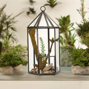 Terrário de Vidro em Forma de Lanterna: Um Toque de Natureza